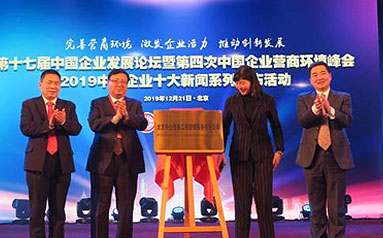 第十七屆中國企業發展論壇在京舉行