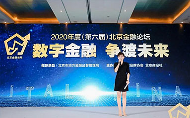 第六届北京金融论坛举办 专家热议数字金融如何应对变局