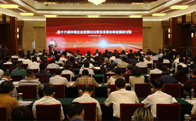 第十六屆中國企業發展論壇暨京津冀協同發展研討會