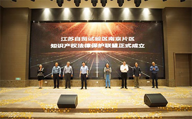 江苏自贸试验区南京片区法治营商环境建设第二届高端论坛正式举办