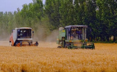 曲阜农机合作社助力规模化农业生产能力提升