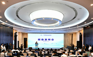 第四届中国企业论坛报告发布会发布六份重磅报告