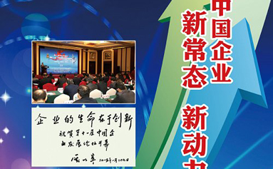 2014年度中國企業發展論壇舉辦中國企業十大新聞同期揭曉