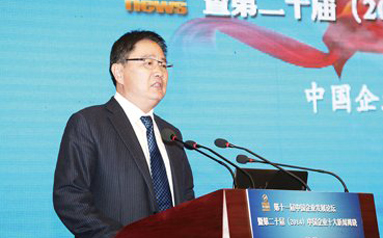中国恒天集团有限公司党委书记、董事长张杰：恒天的改革实践探索