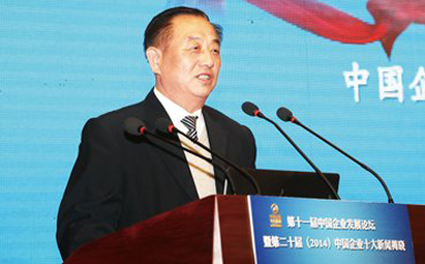 山东亚太集团常务副总经理郑殿振：放大资源优势坚持多元化道路