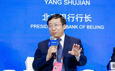 杨书剑 北京银行党委副书记、行长
