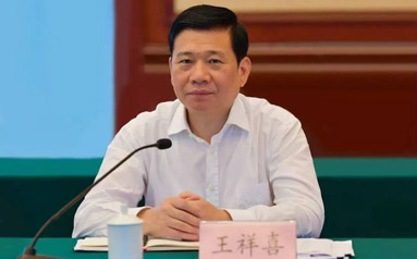 王祥喜 国家能源投资集团有限责任公司党组书记、董事长