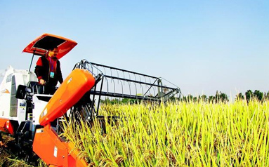 农业全产业链标准化试点陆续启动　农村产业转型升级步伐加快