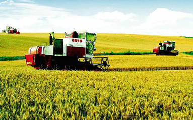 系列政策部署为农业农村现代化增势蓄能