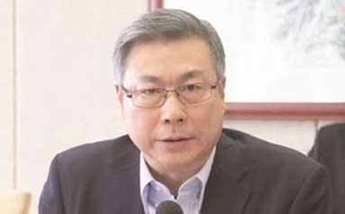 全国人大代表、安庆市市长陈冰冰：锁定首位产业 做到站位高卡位准