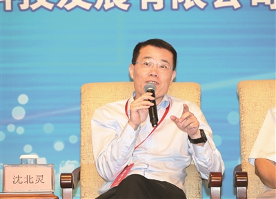 中国林产品有限公司副总经理沈北灵