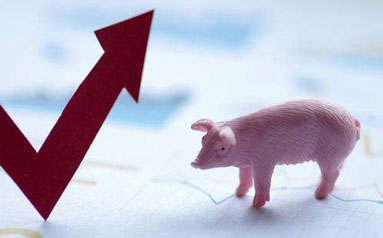 猪肉价格下降41.6%　1月CPI同比涨幅回落至0.9%