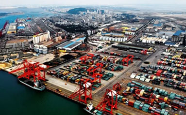 迟福林：海南自由贸易港需着力建设“两个总部基地”
