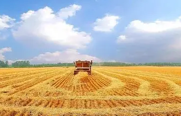 農業農村部關于實施新型農業經營主體提升行動的通知