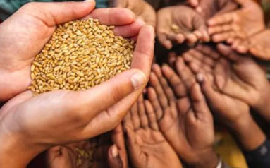 “逆全球化”加剧全球粮食危机