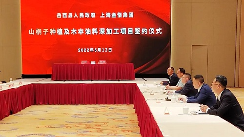 金恪集团与安徽岳西县人民政府签订山桐子种植及木本油料深加工项目合作协议(1)671.png