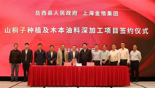 金恪集团与安徽岳西县人民政府签订山桐子种植及木本油料深加工项目合作协议(1)38.png