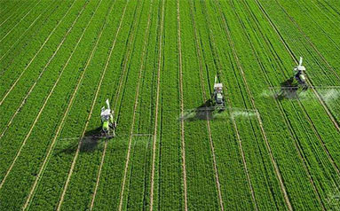 《中国农业财产成长报告2022》估计：本年食粮总产量将再立异高