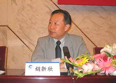 胡新欣发布2003年中国企业发展分析报告