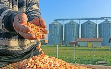 俄农业部：7月1日起俄罗斯将暂时限制出口氨基酸饲料和大米