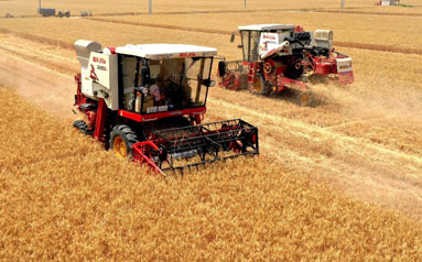 夏粮小麦增产丰收成定局 农机化潜力亟待挖掘