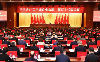 中国共产党中央企业系统（在京）代表会议召开