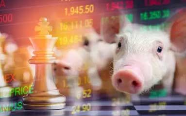 上半年业绩“惨淡” 猪肉涨价，猪企又能赚大钱？