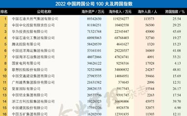 2022中国跨国公司100大及跨国指数