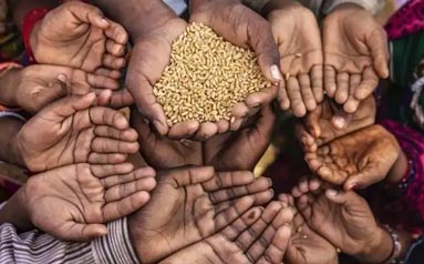 产需基本平衡，为何全球仍面临粮食危机