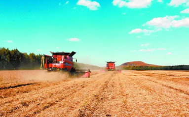 农业农村部：全力夺取秋粮和全年粮食丰收