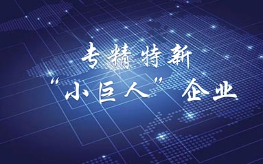 河北一些“專精特新”企業(yè)動(dòng)能加速釋放