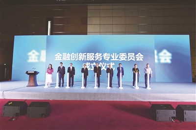 中国对外经济贸易会计学会 金融创新服务专业委员会正式揭牌成立