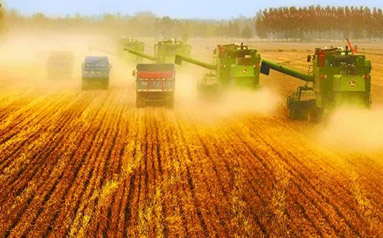 全球粮食减产背景下，中国为何能取得秋粮丰收？