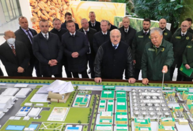 中企承建白俄罗斯大型农工综合体项目正式投产