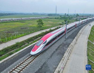 中老铁路开通近一年 老挝段首次开展大规模设备养护