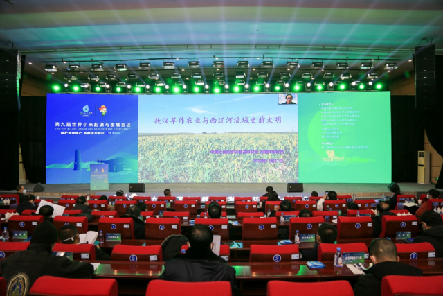 第九届世界小米起源与发展会议在内蒙古敖汉旗召开1675.png