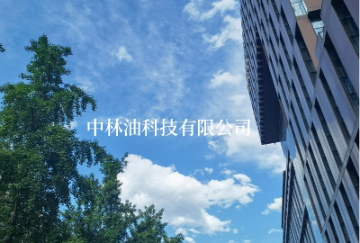 中林油全年回顧：打造山桐子全產(chǎn)業(yè)鏈，2022昂首闊步，2023征程揚(yáng)帆