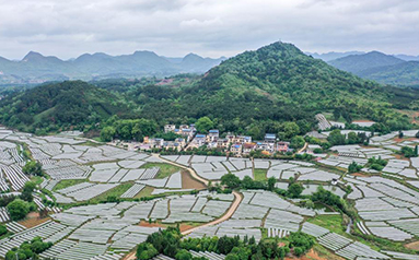 人民江山