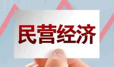 海南省人民政府辦公廳印發(fā) 關于支持民營經濟發(fā)展若干措施的通知