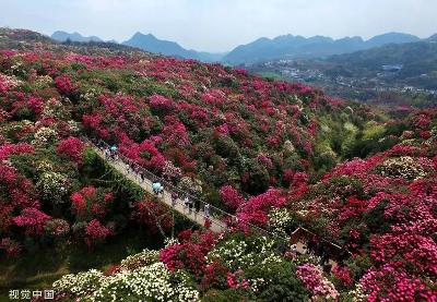 多彩貴州旅游市場全面復蘇