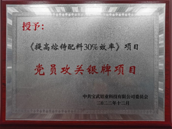 04 中冶寶鋼基層單位榮獲寶武鋁業(yè)2022年度黨員攻關項目銀牌618.png