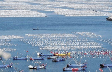 海南省人民政府办公厅关于印发加快渔业转型升级促进海南渔业高质量发展若干措施的通知