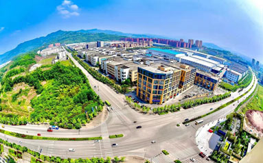 重庆巴南：党建赋能“五链”融合 打造生物医药产业发展新高地