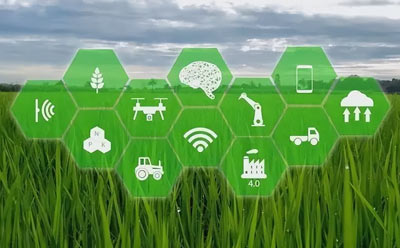 夯实农业绿色低碳发展的科技、制度和教育基础