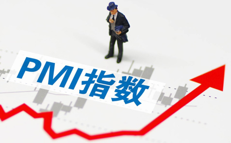 5月制造业PMI为48.8% 大型企业PMI升至临界点