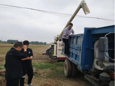 麦收季遭遇“烂场雨” 中国人保全力服务夏粮抢收