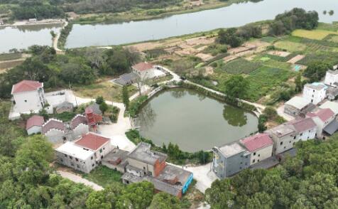 雁回人圓——“鄱陽湖淡水健康和濕地保護(hù)項目”側(cè)記