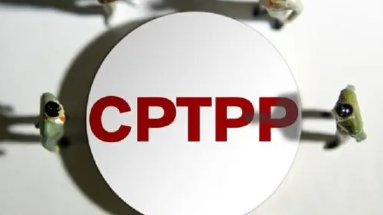 推动加入CPTPP，中国开放的大门只会越开越大