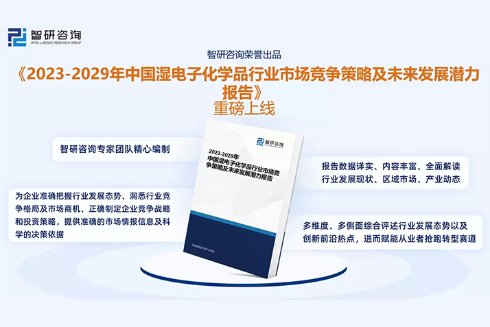 《2023版中国湿电子化学品行业市场分析研究报告》