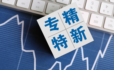 用“稅動力”助“專精特新”企業(yè)做大做強(qiáng)